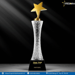 Kỷ niệm chương VOPL_NS2