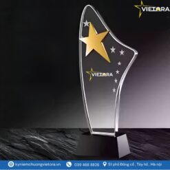 Kỷ niệm chương VO_PL16