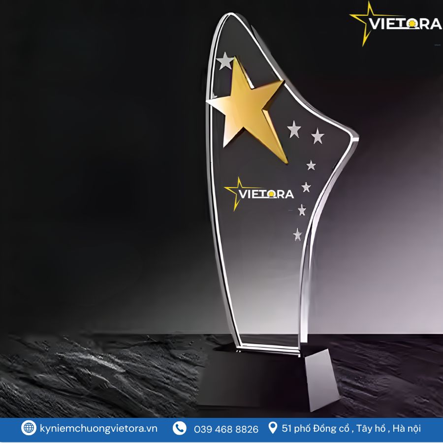 Kỷ niệm chương VO_PL16