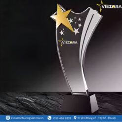 Kỷ niệm chương VO_PL29