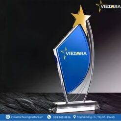 Kỷ niệm chương VO_PL20