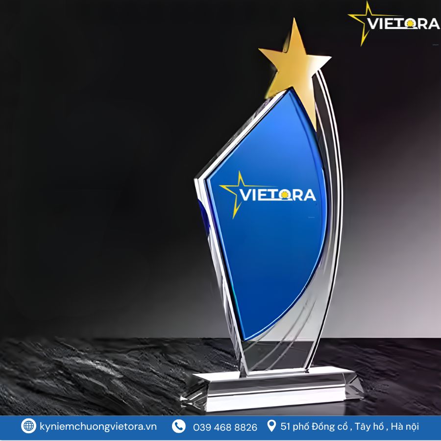 Kỷ niệm chương VO_PL20