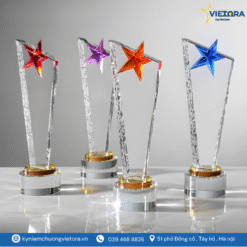 Kỷ niệm chương VO_PL11