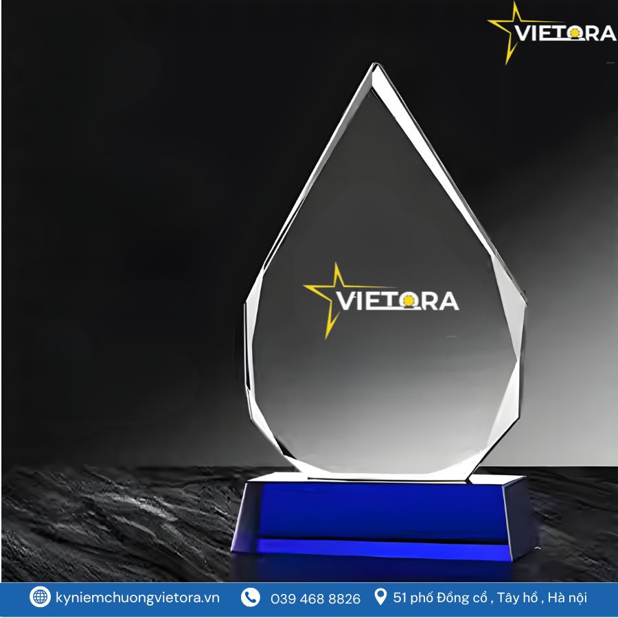 Kỷ niệm chương VO_PL23