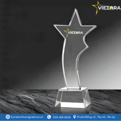 Kỷ niệm chương VO_PL13