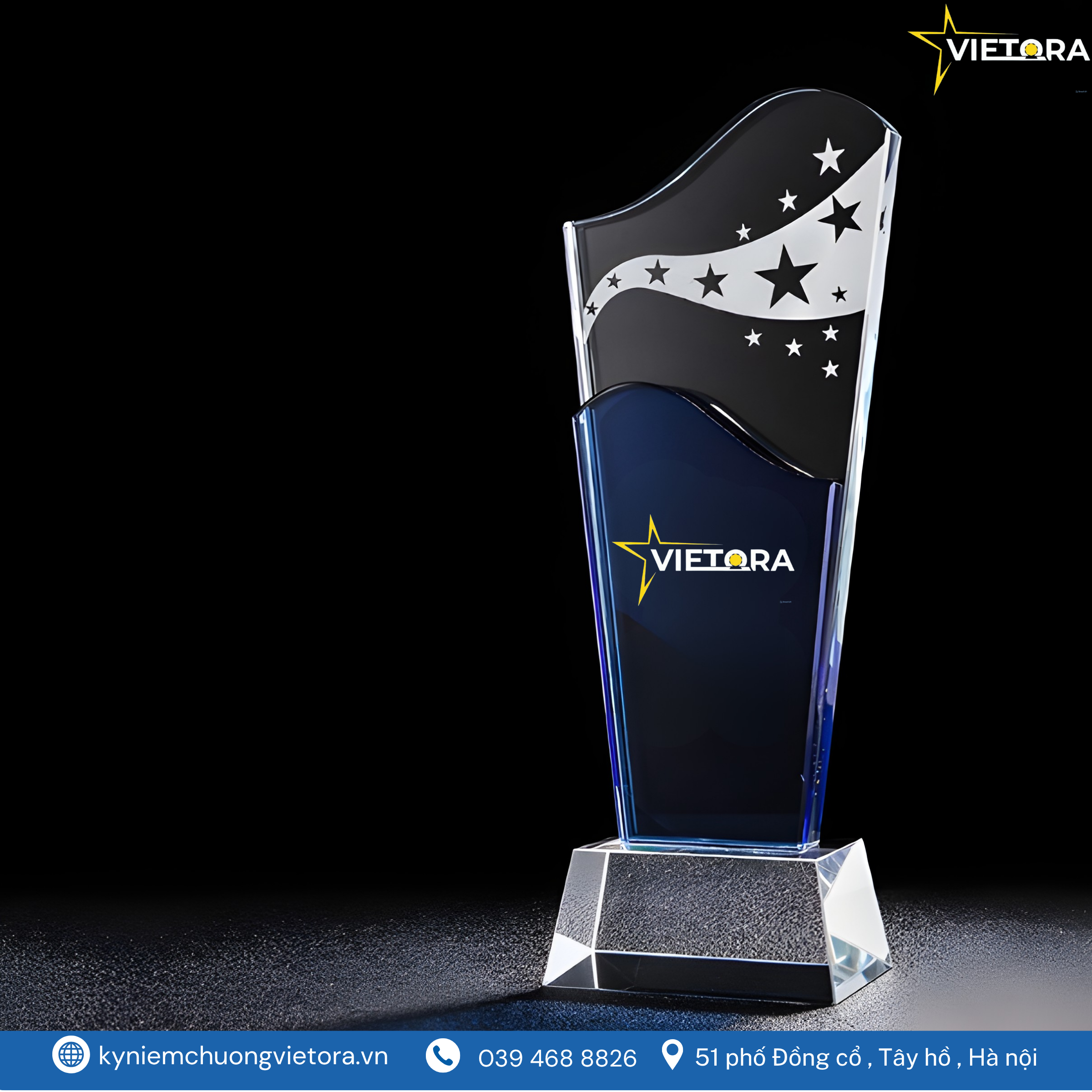 Kỷ niệm chương VO_PL31