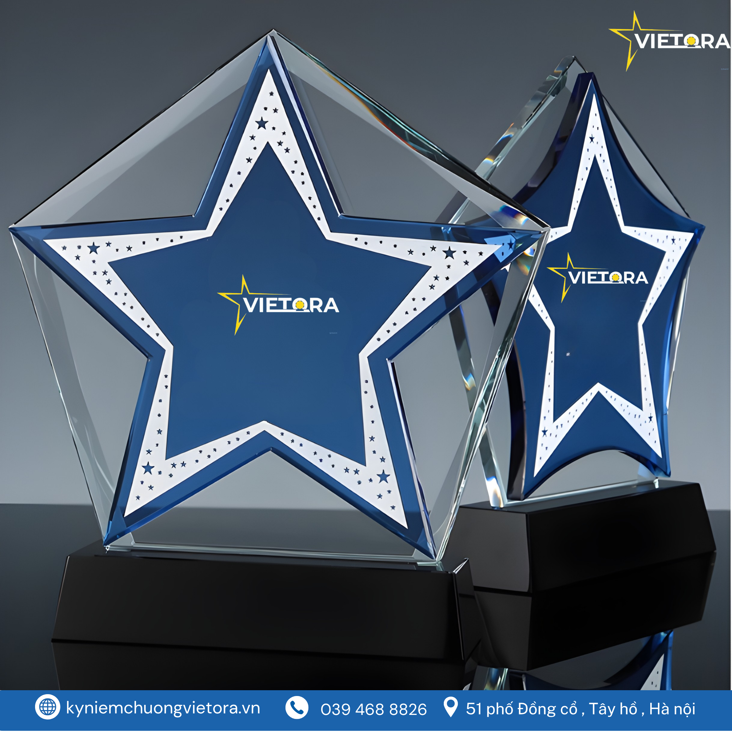 Kỷ niệm chương VO_PL30