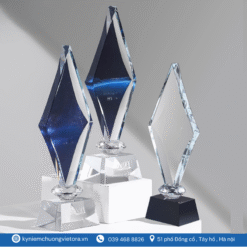 Kỷ niệm chương VO_PL34