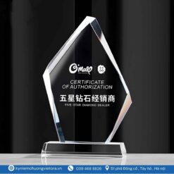 Kỷ niệm chương VO_PL38