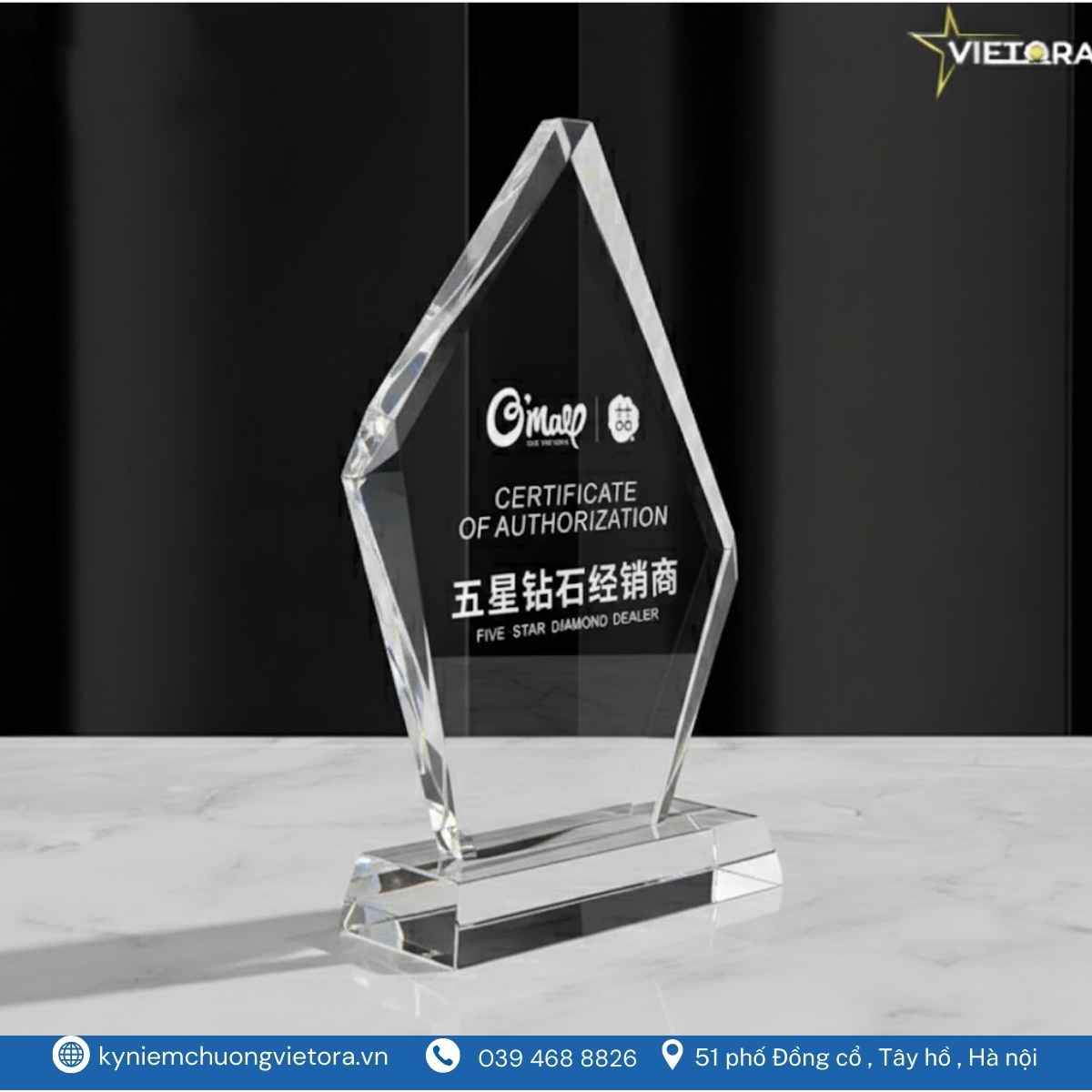 kỷ niệm chương (7)